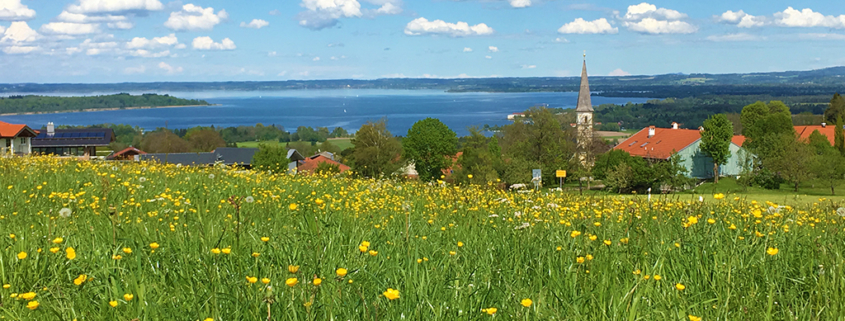 Blick auf den Chiemsee