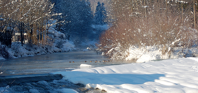 Winterlandschaft mit Gebirgsbach im Luftkurort Kiefersfelden