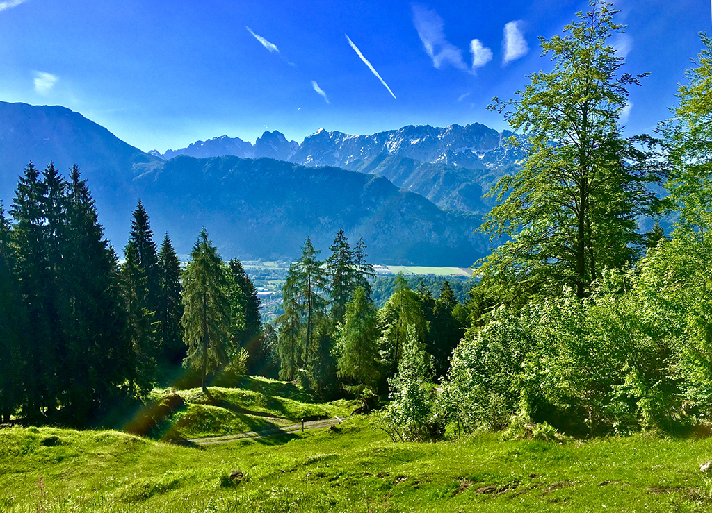 Blick von Alm im Sommer auf Kiefersfelden und das Kaisergebirge im Hintergrund