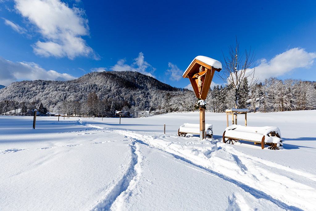 verschneite Winterlandschaft