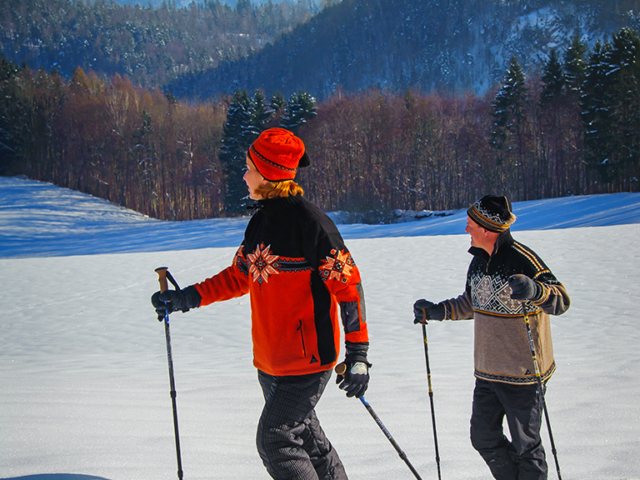 Leichte geführte Schneeschuhwanderung