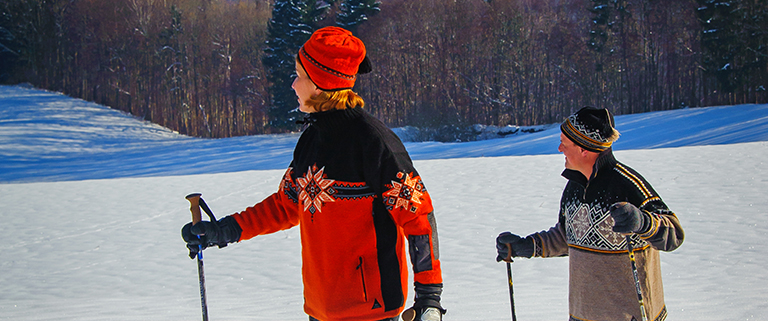 Wanderer mit Schneeschuhen und Stöcken in winterlicher Landschaft mit Schnee